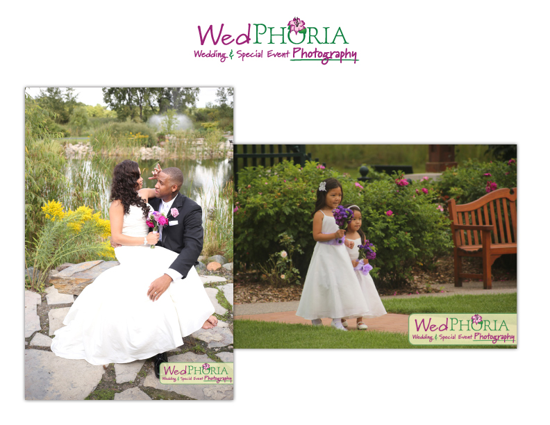 Wedding Brochure