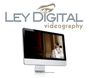 Wedding Videography Logo Design