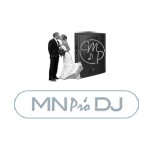 Wedding Dj logo
