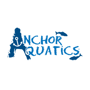 Anchor Logo
