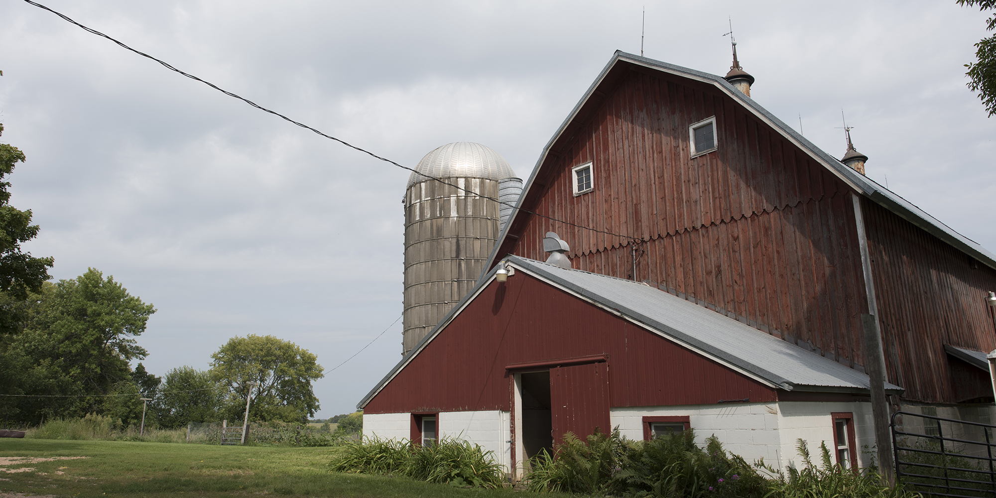 Wedding Website Photo