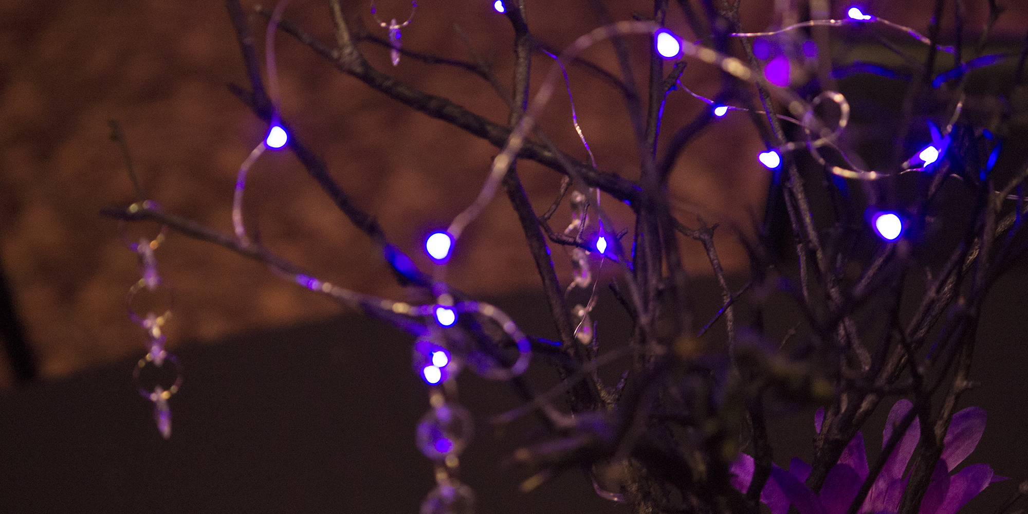 Wedding Website Photo