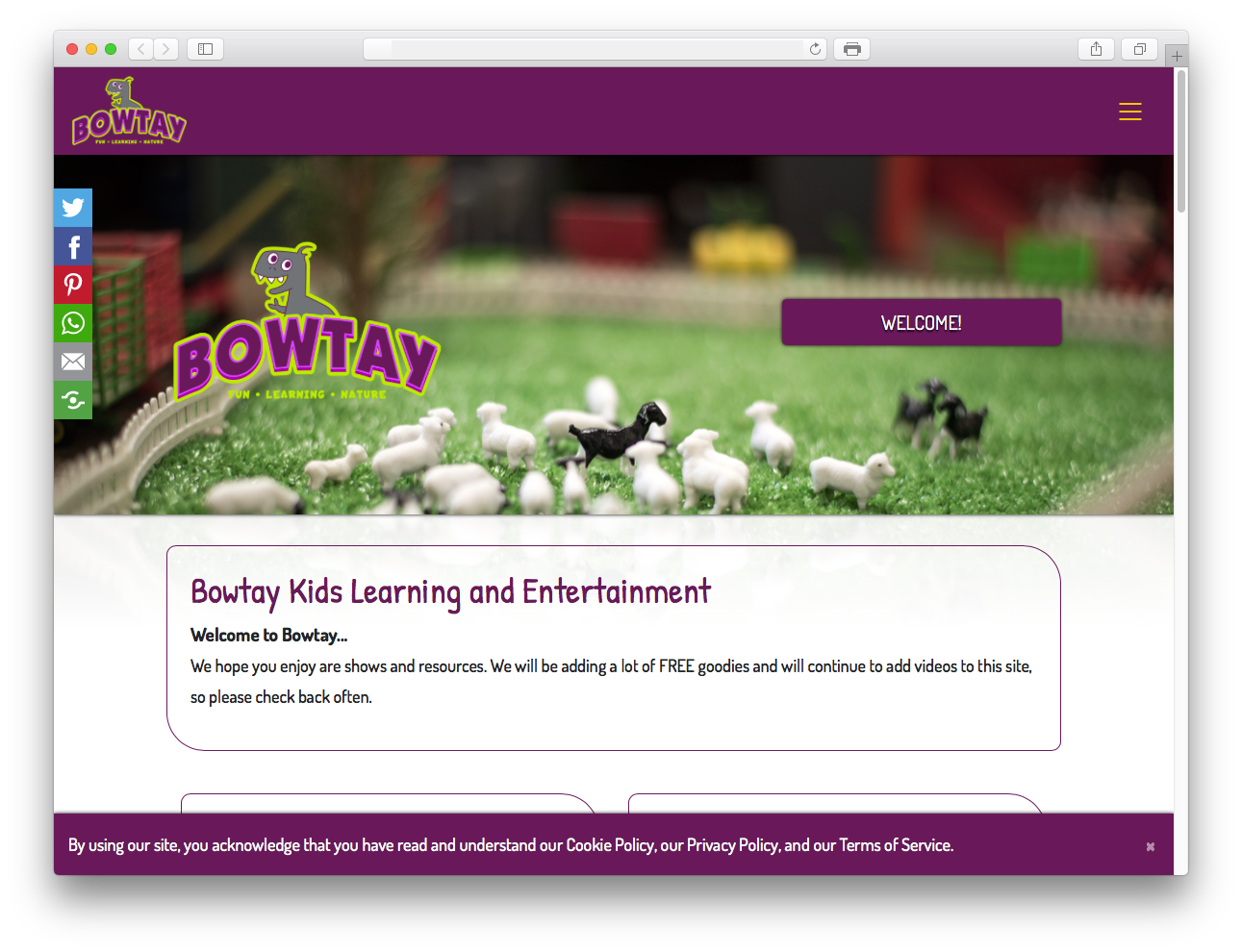 Bowtay Kids Web Design