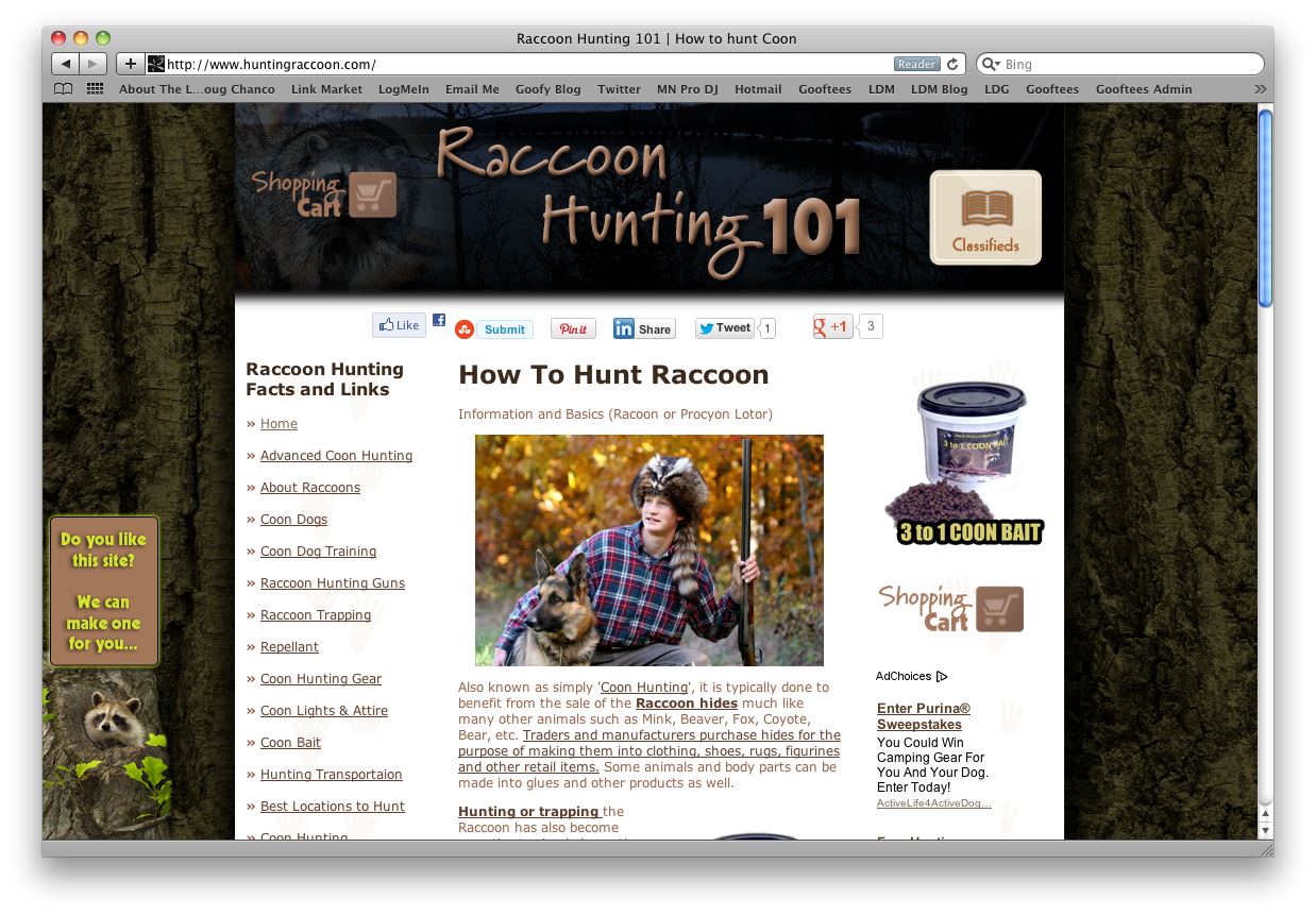 Raccoon Hunting How To Web Design